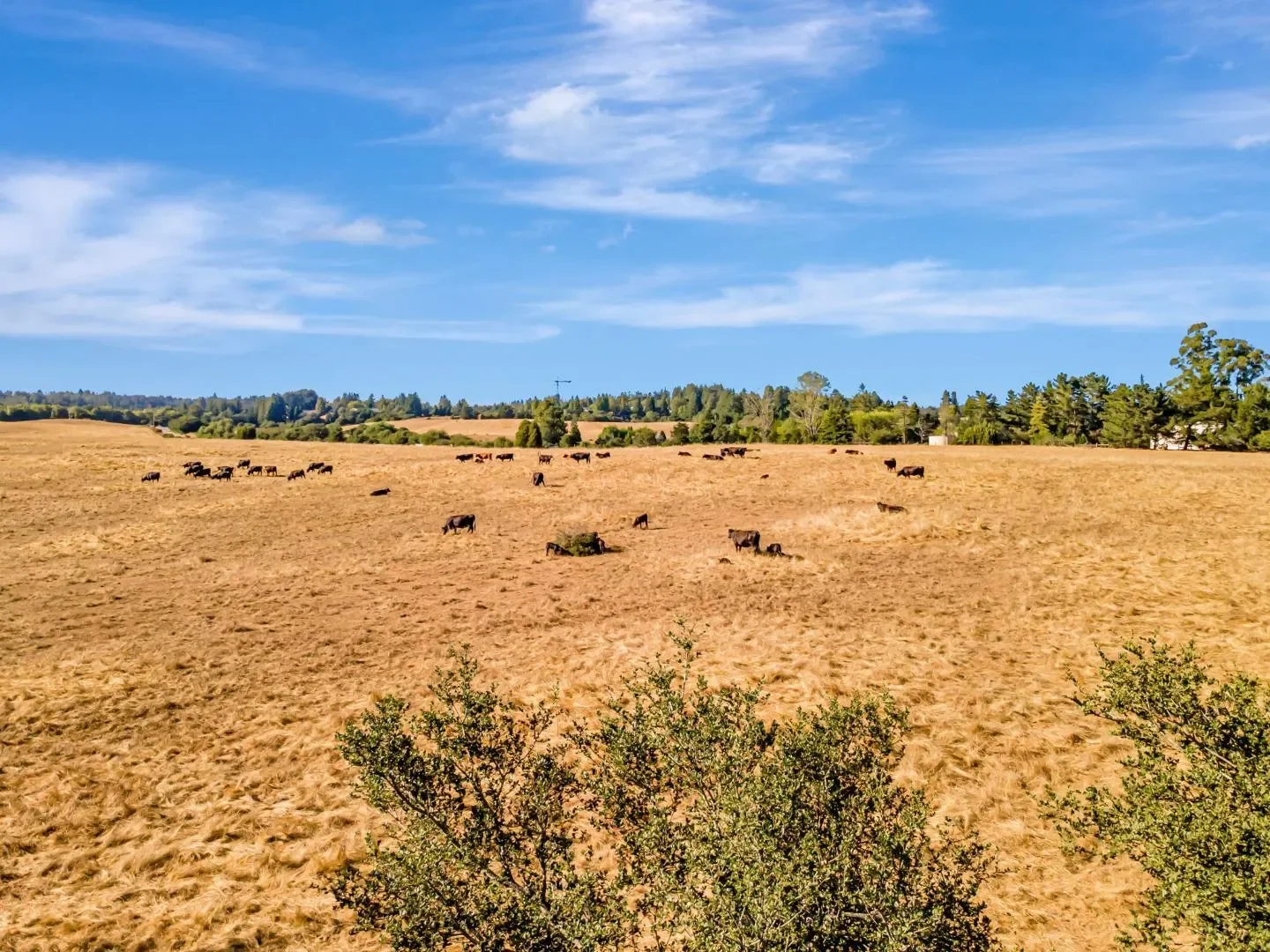 222 Highview Drive, Santa Cruz, California, United States. - Photo 23