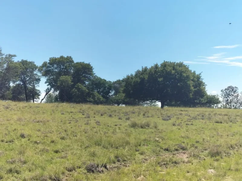 Bethlehem, Free State, South Africa. - Photo 45