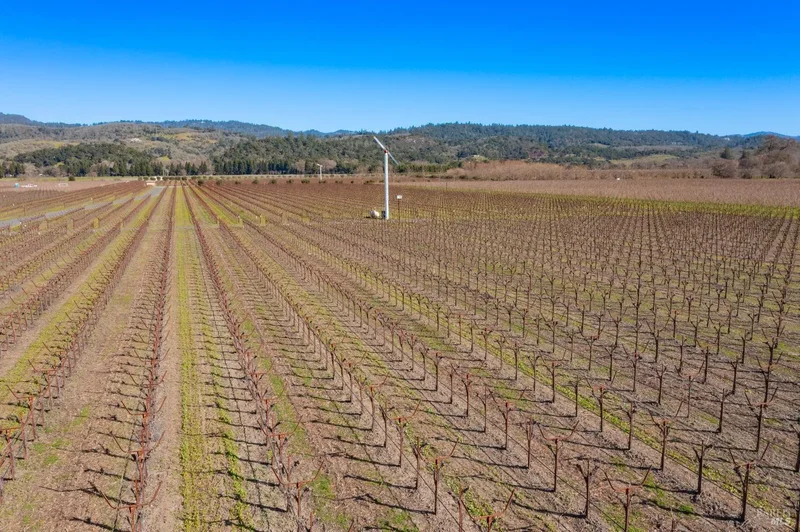 218 Zinfandel Ln, St. Helena, CA 94574, St. Helena, California, United States. - Photo 7