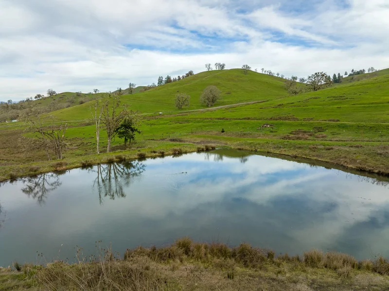 10181 N Umpqua Highway, Roseburg, OR, 97470, USA, Roseburg, Oregon, United States. - Photo 66