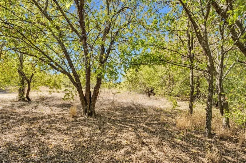 485 S Magnolia Street, Crowley, TX 76036, Crowley, Texas, United States. - Photo 2