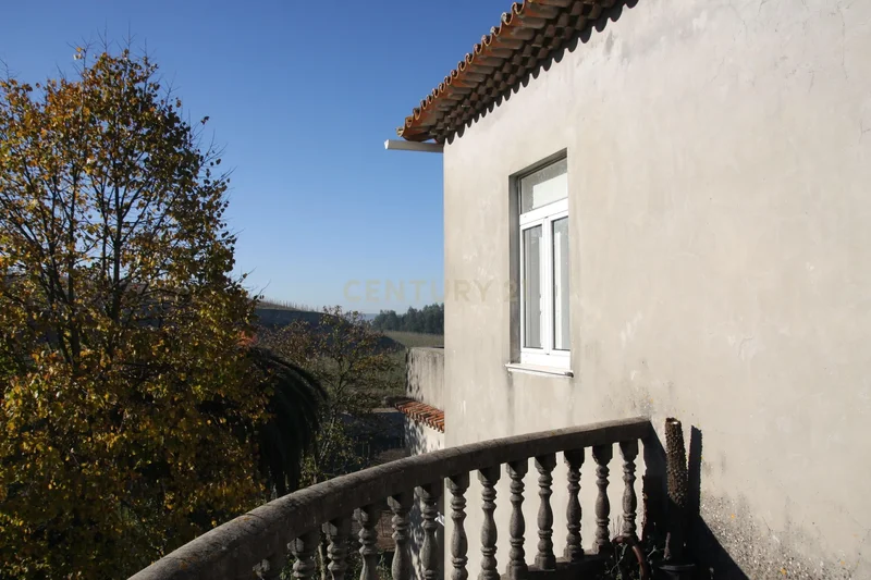 Lugar da Cerqueda, Santo Tirso, Couto (Santa Cristina e Sao Miguel) e Burgaes, Porto District, Portugal. - Photo 13