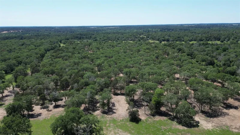 431 Nink Road, Smithville, TX 78957, Smithville, Texas, United States. - Photo 6