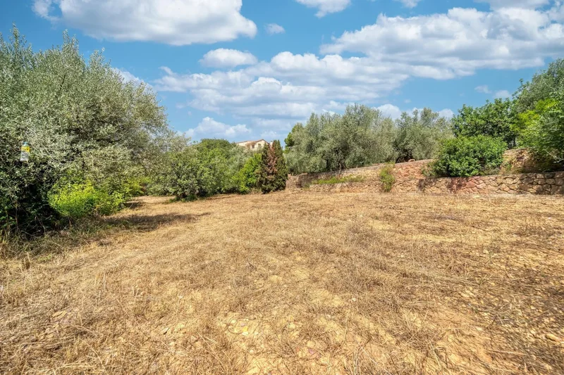 Artesa, Onda, CASTELLON, Onda, Onda, Valencian Community, Spain. - Photo 17
