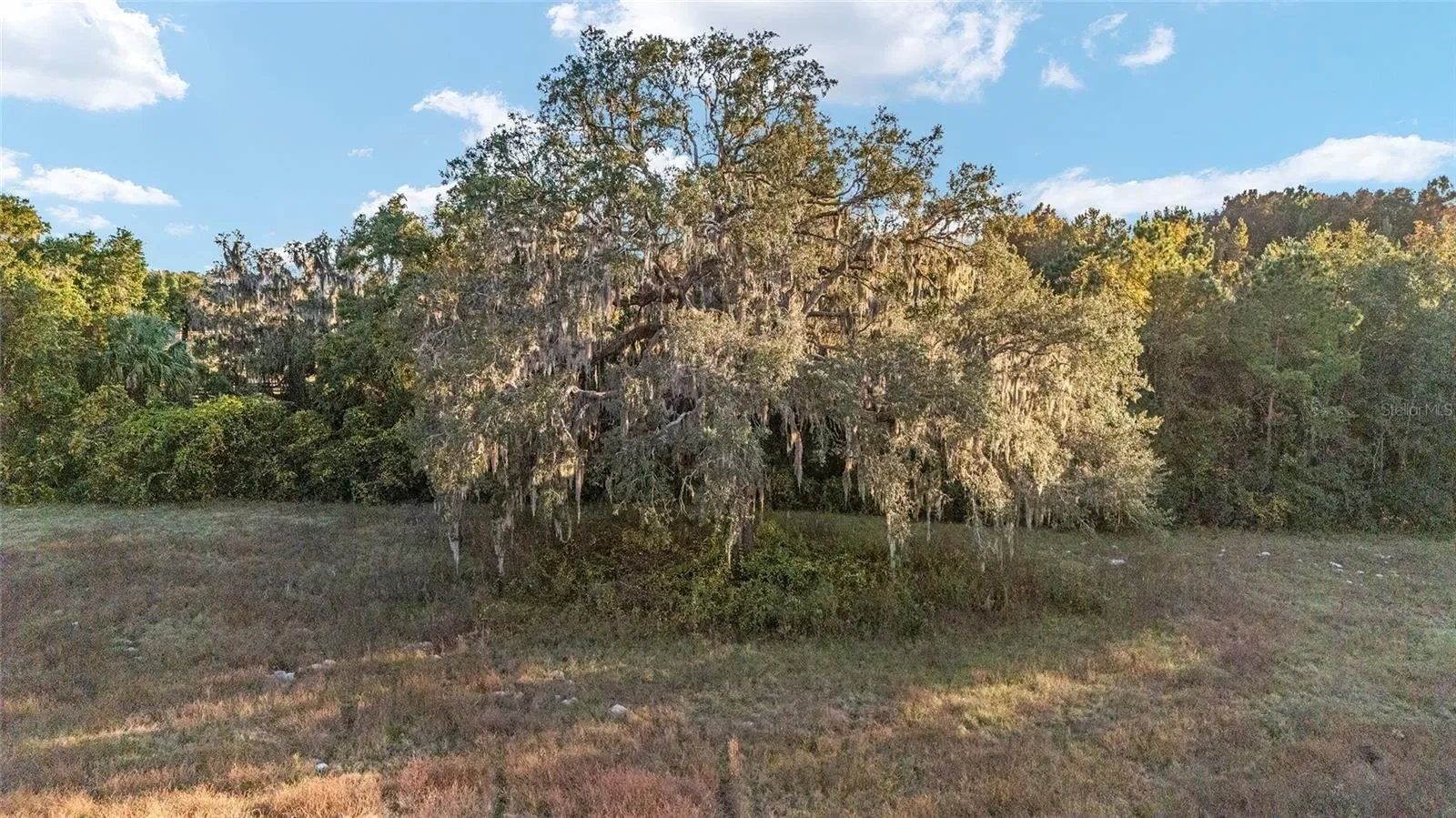 TBD SE 28TH TERRACE ROAD, Belleview, Florida, United States. - Photo 15