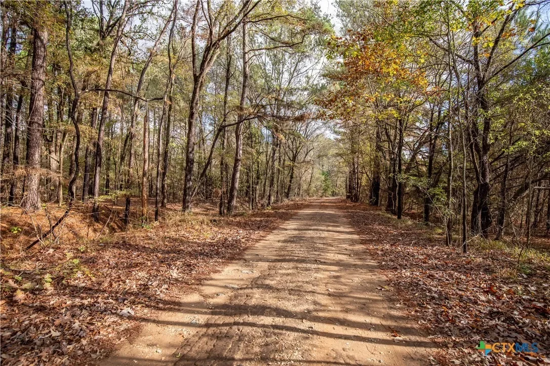 474 Pr 4311, White Oak, TX 75693, Longview, Texas, United States. - Photo 20