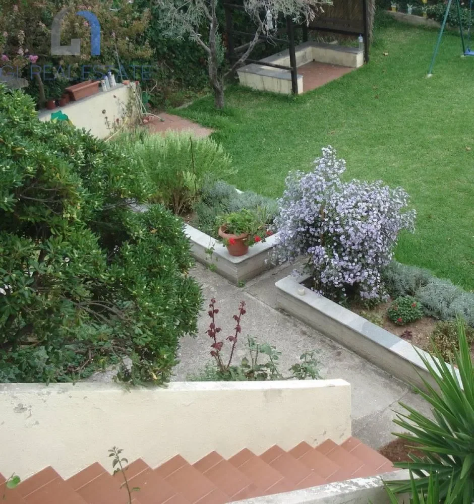 Gallery photo 6