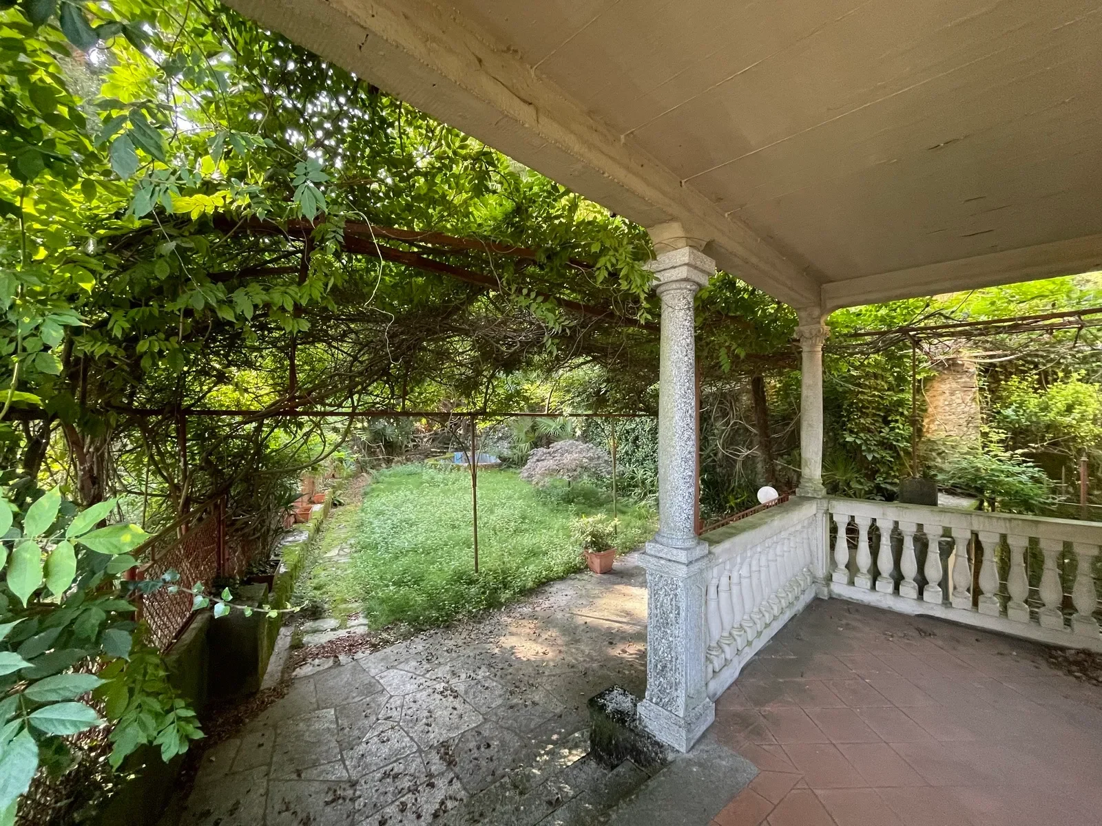 Gallery photo 11