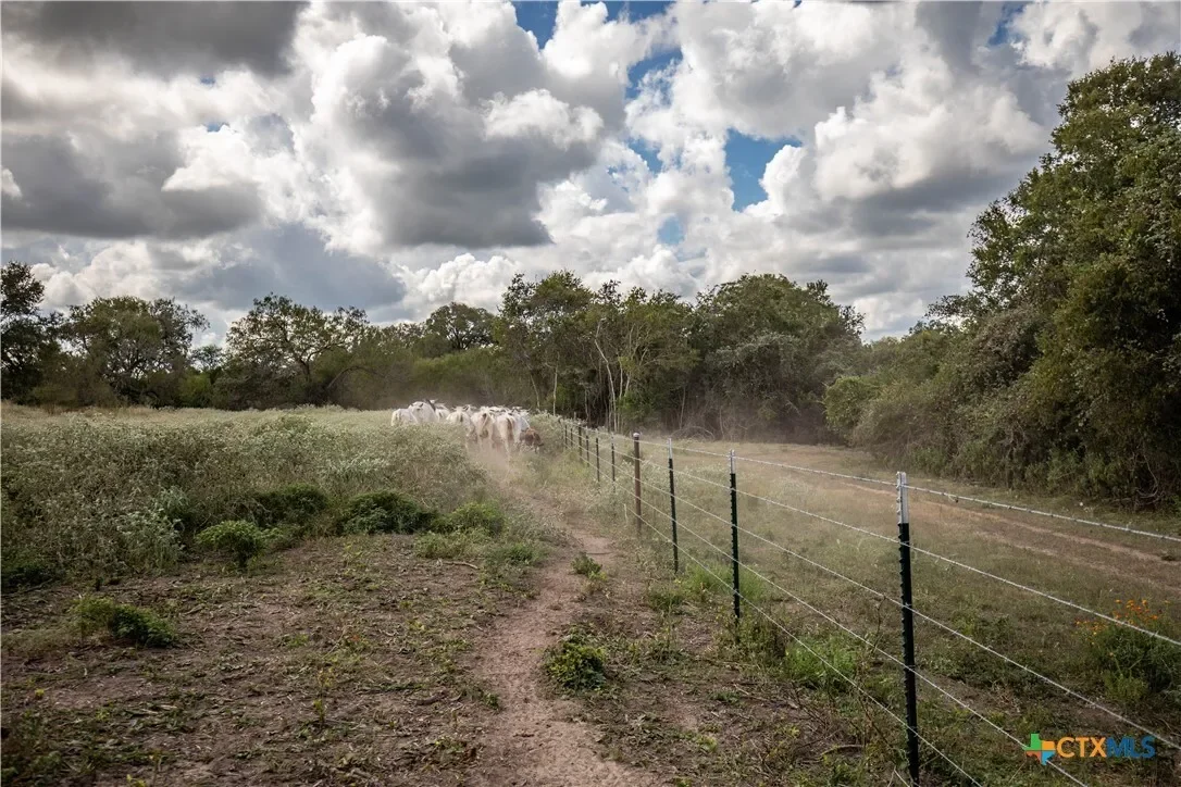 000 Fm 766, Cuero, TX 77954, Cuero, Texas, United States. - Photo 26