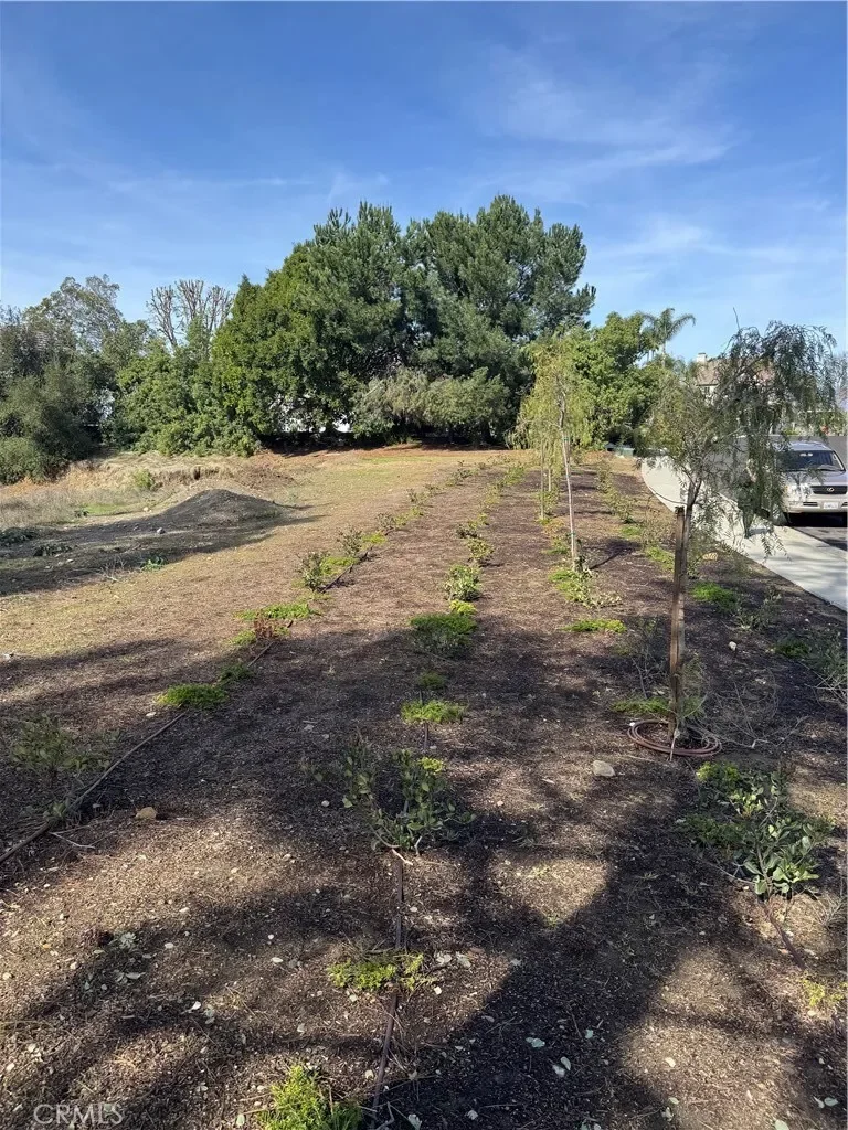 1562 calle cristina, San Dimas, California, United States. - Photo 3
