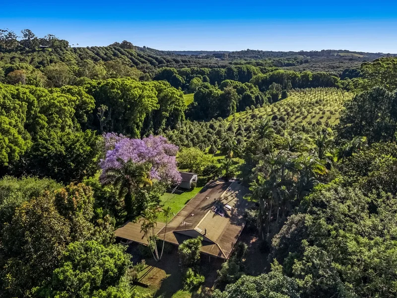 399 Fernleigh Road, Byron Bay, NSW, Fernleigh, New South Wales, Australia. - Photo 16