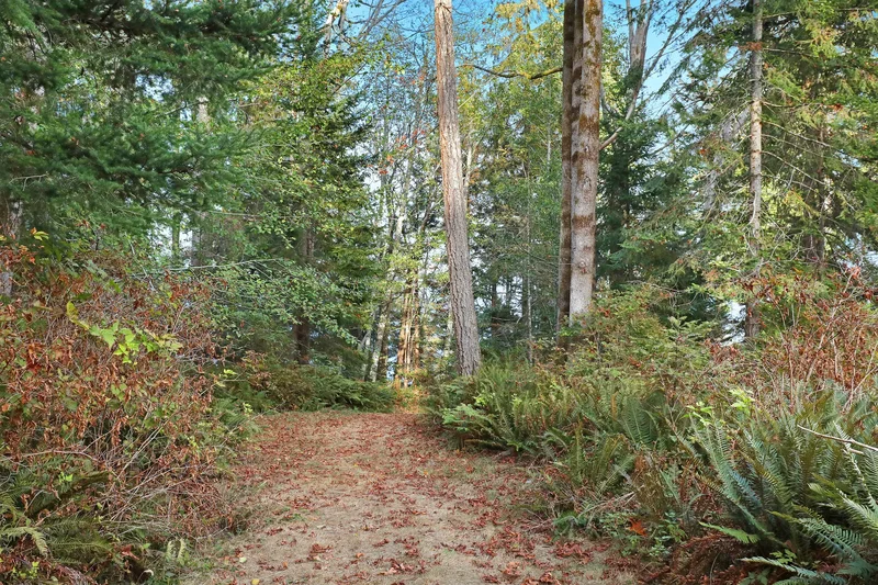 6510 Eagles Drive, Comox Valley, BC V9J 1V4, Courtenay, British Columbia, Canada. - Photo 20