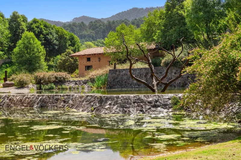 51045 Villa Donato Guerra, Méx., México, San Agustín de las Palmas, State of Mexico, Mexico. - Photo 19
