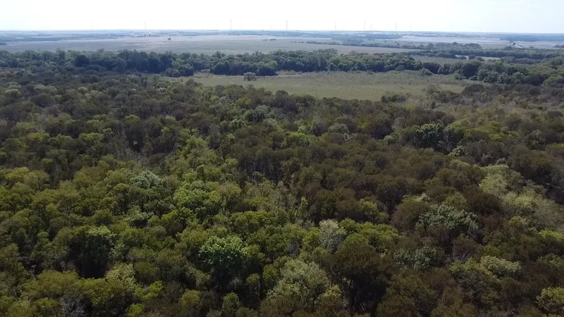 Tbd SW CR 3160, Dawson, TX 76639, Hubbard, Texas, United States. - Photo 18