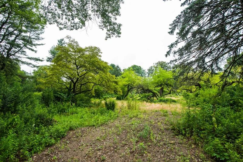 168 Hegemans Lane , Old Brookville, NY 11545, Old Brookville, New York, United States. - Photo 5