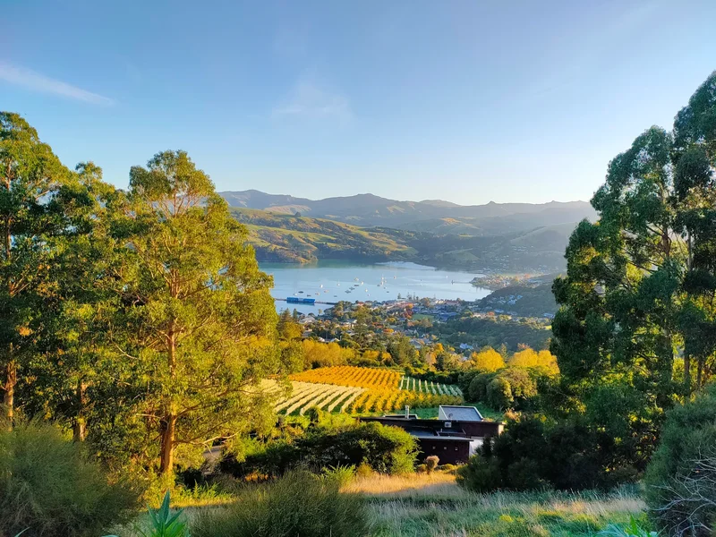 41 Lighthouse Road, Akaroa, CAN 7520, Akaroa, Canterbury, New Zealand. - Photo 6