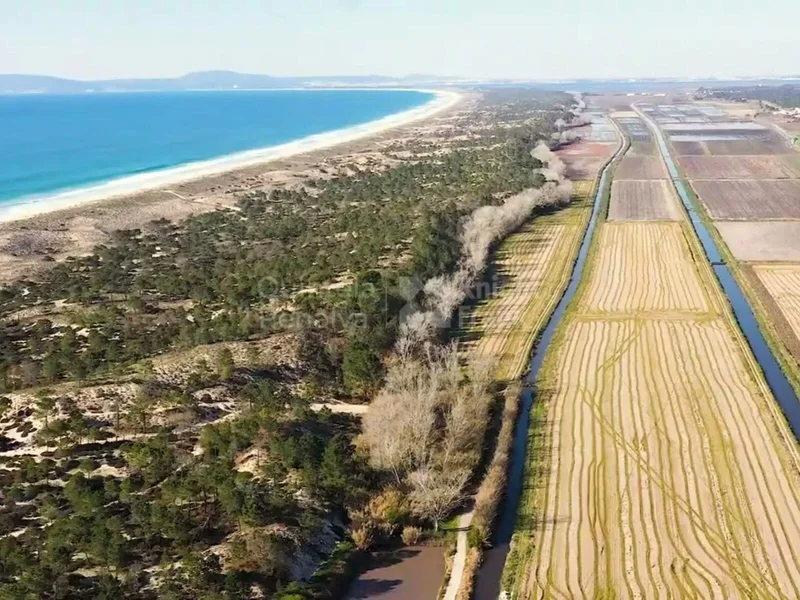 Comporta, Setubal, Portugal. - Photo 23