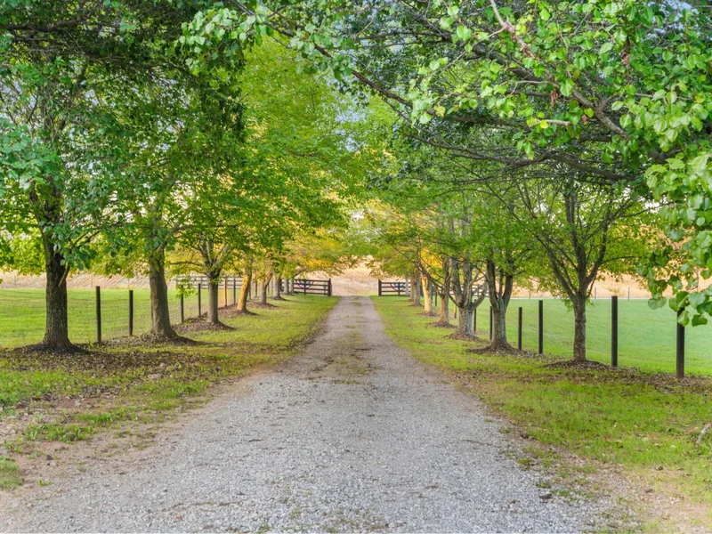 5439 Minnis Rd, Springfield, Tennessee, United States. - Photo 13