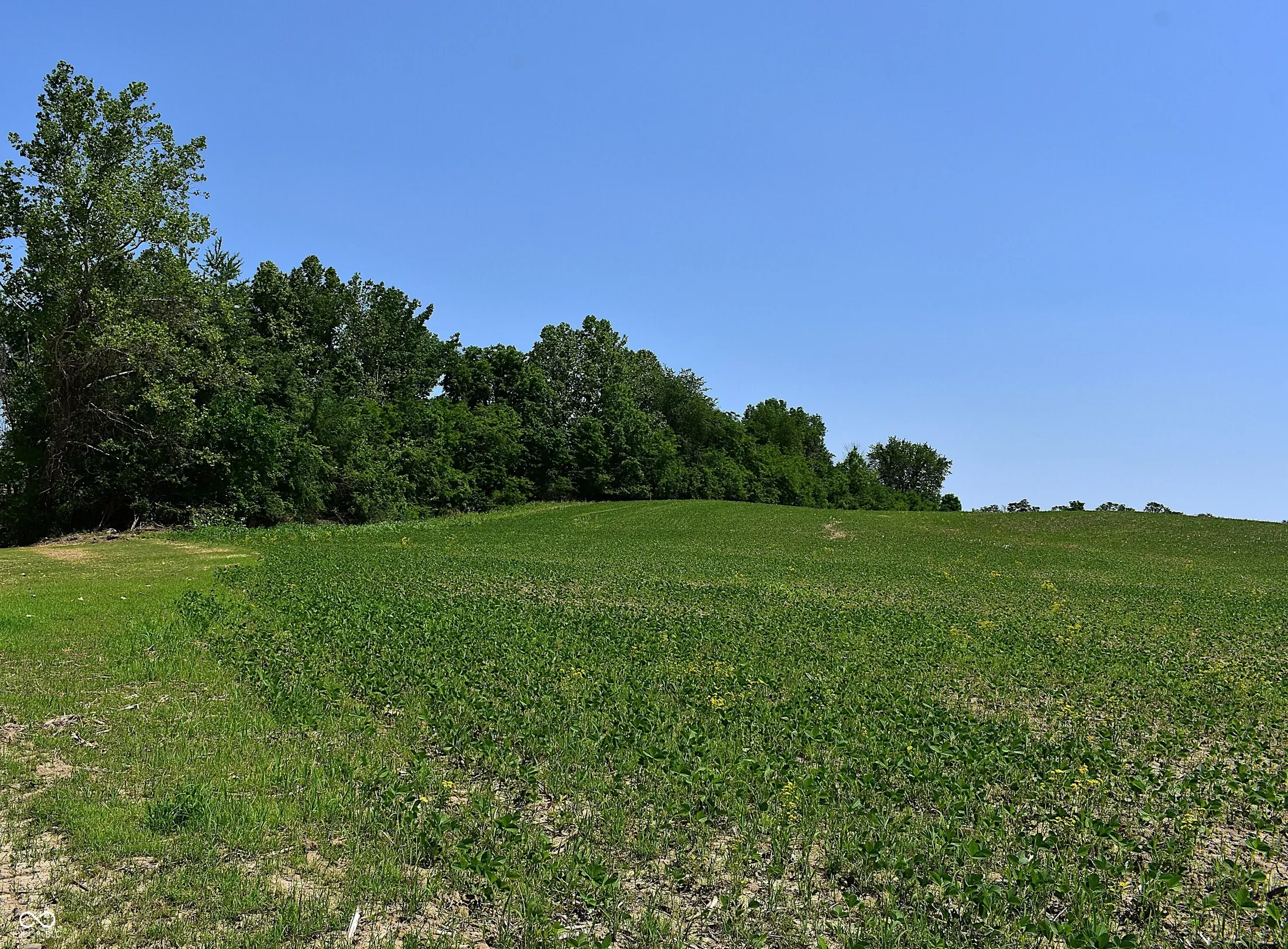 0 Watson Road E, Mooresville, IN 46158, Mooresville, Indiana, United States. - Photo 8