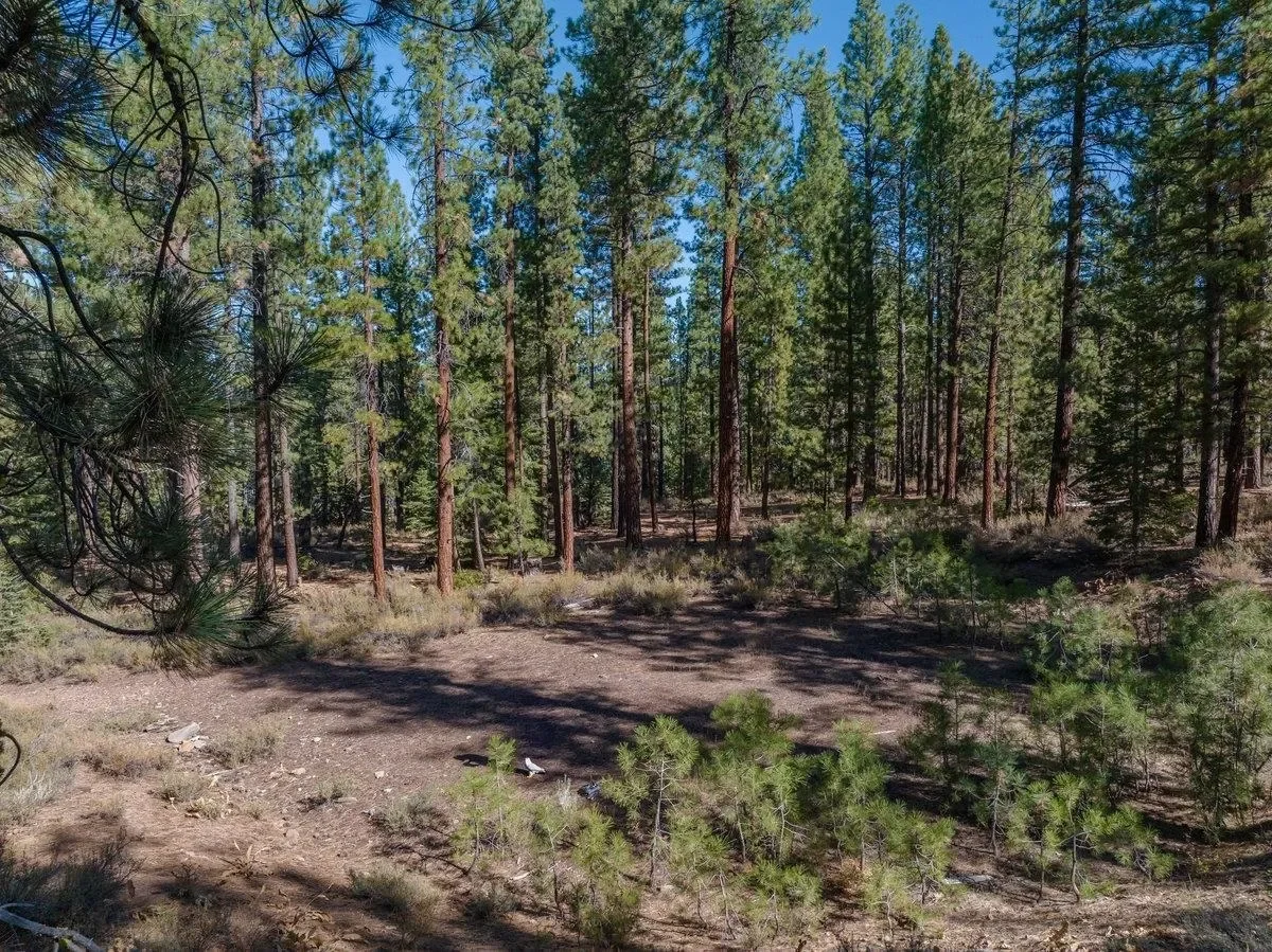 10797 Regency Circle, Truckee, California, United States. - Photo 3