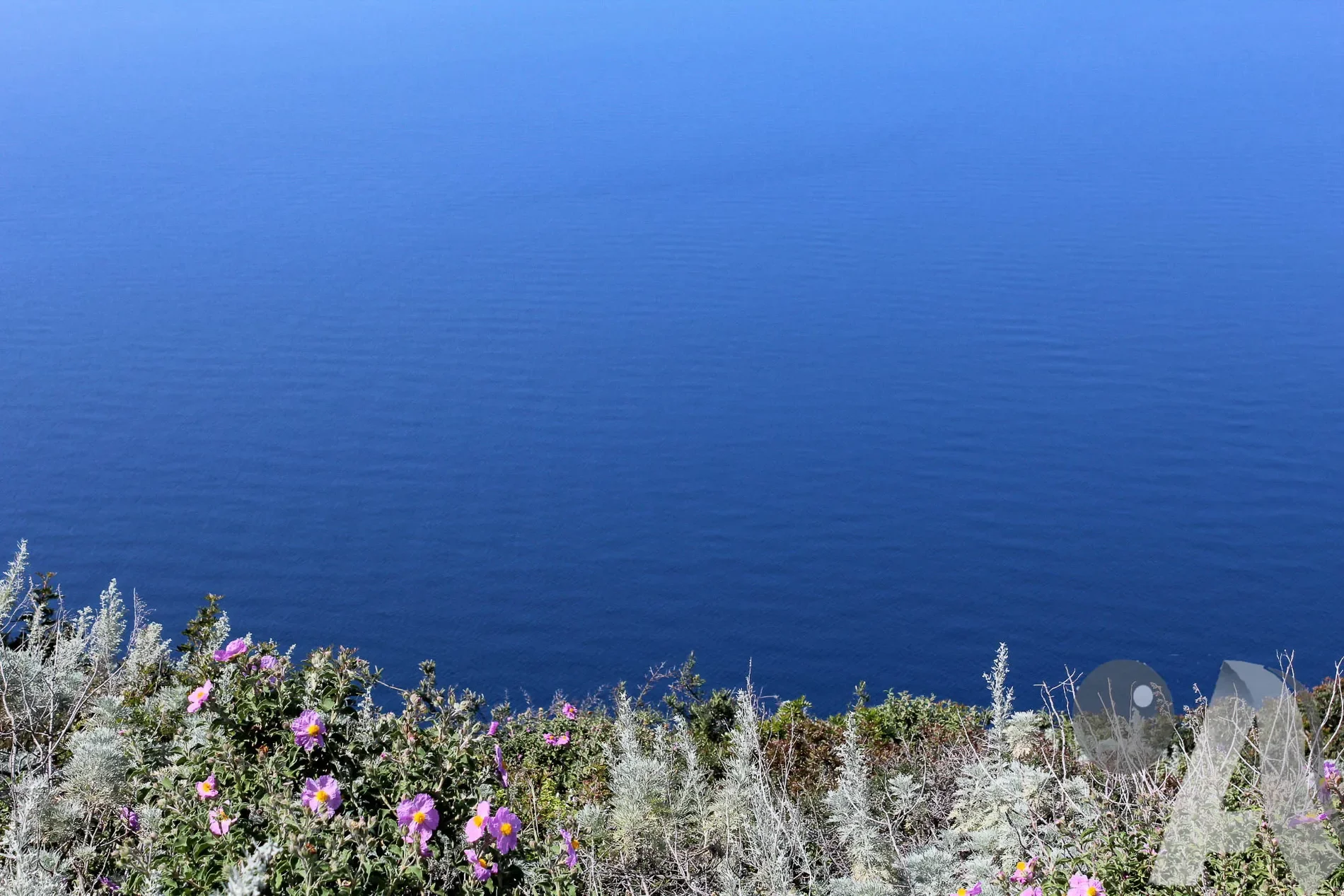 Sicily, Salina, Sicily, Italy. - Photo 6