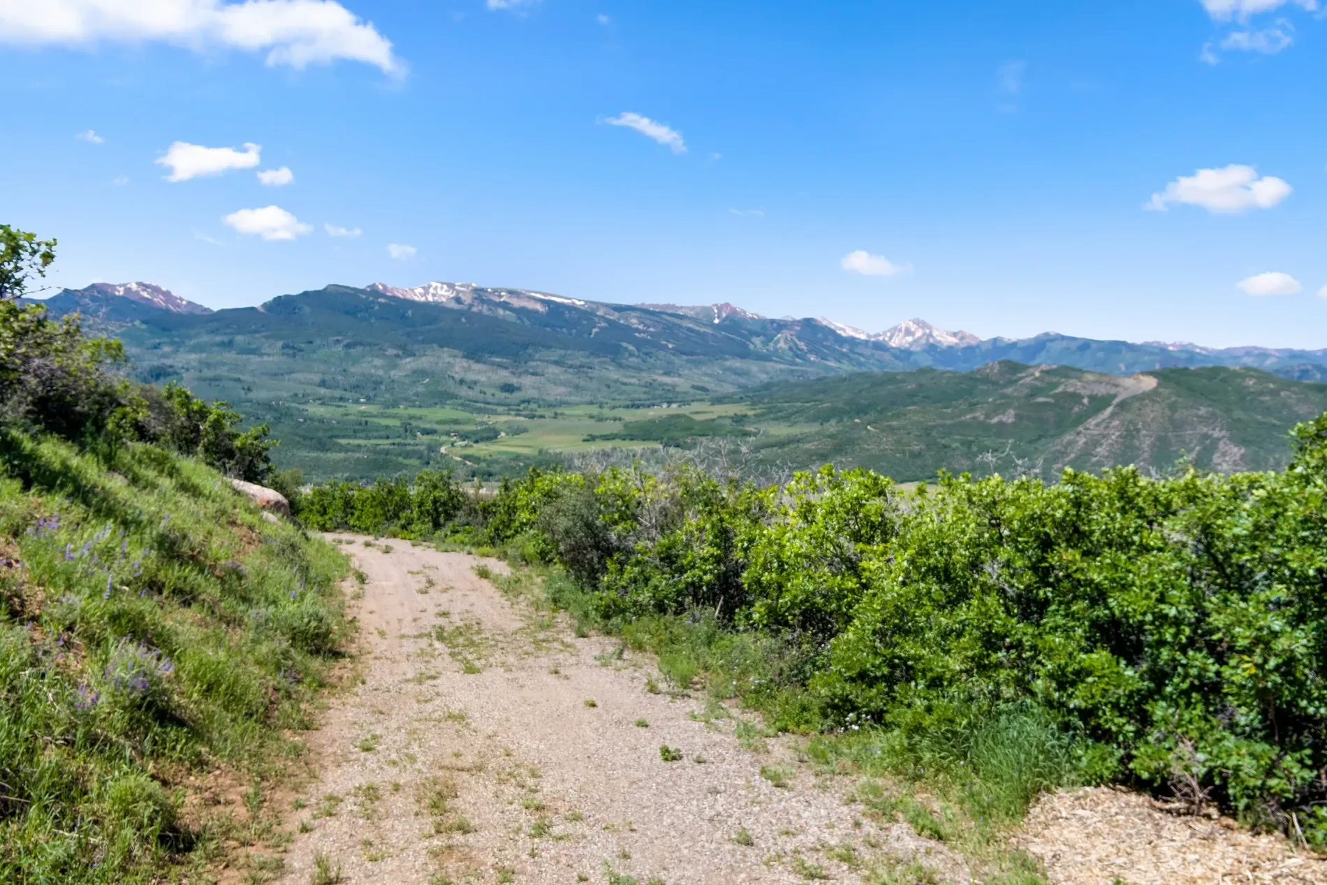 TBD Trentaz Drive , Aspen, CO 81611, Aspen, Colorado, United States. - Photo 16
