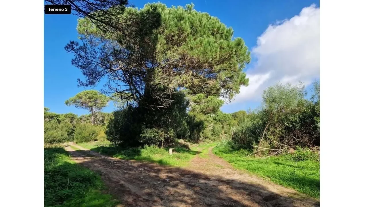 Praia das Maçãs, Lisboa, Colares, Lisbon, Portugal. - Photo 6