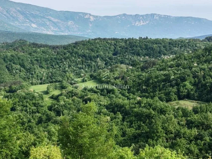 Opcina Cerovlje, Istria County, Croatia. - Photo 16
