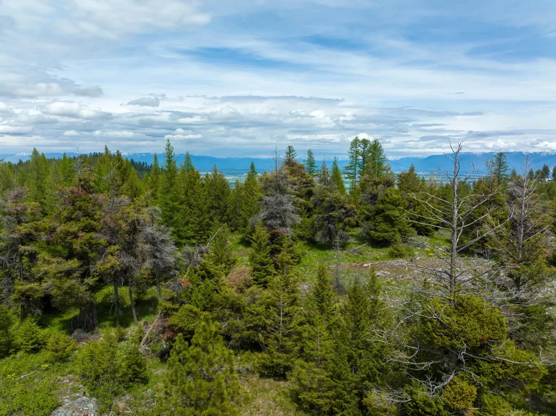 NHN Copper Road, Kalispell, Montana, United States. - Photo 14