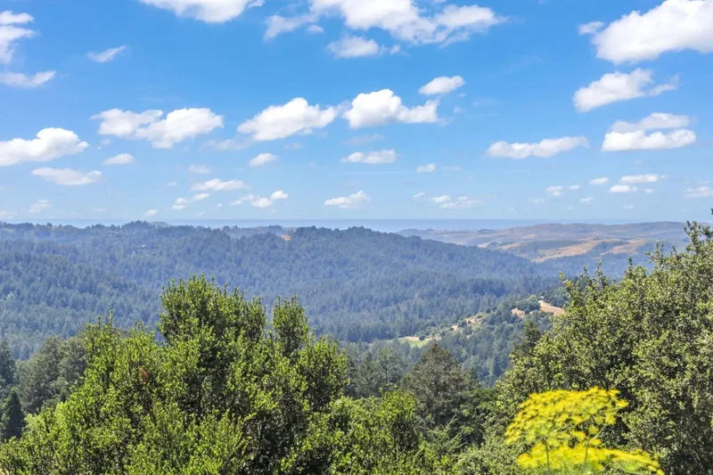 7405 Alpine Road, La Honda, California, United States. - Photo 28
