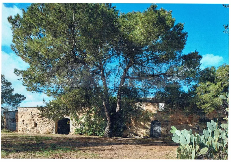 Rustic property with 217,089 m2 between FELANITX and PORRERES