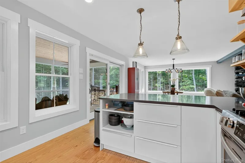 107 Maple Lane, Narrowsburg, NY 12764, Narrowsburg, New York, United States. - Photo 21