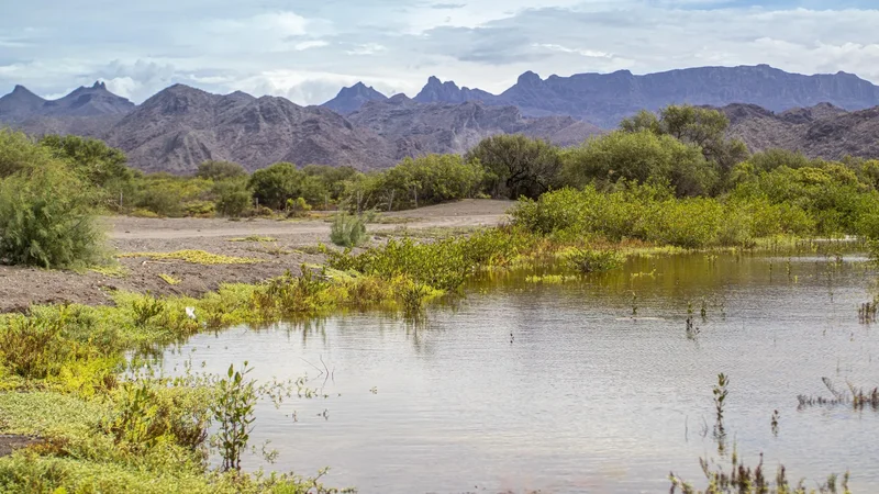 Loreto Bay Grand Reserve, Ligüí, Baja California Sur, Mexico. - Photo 13
