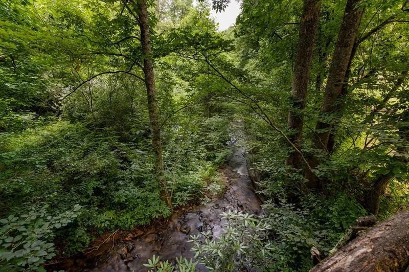 1615 East Vineyard Road, Hayesville, NC 28904, Hayesville, North Carolina, United States. - Photo 67