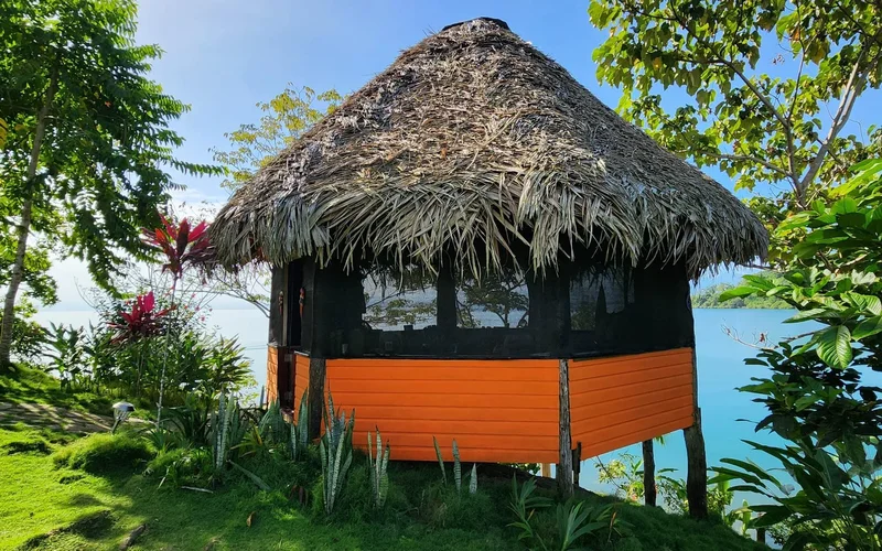 Cauchero, Bocas del Toro Province, Panama. - Photo 20