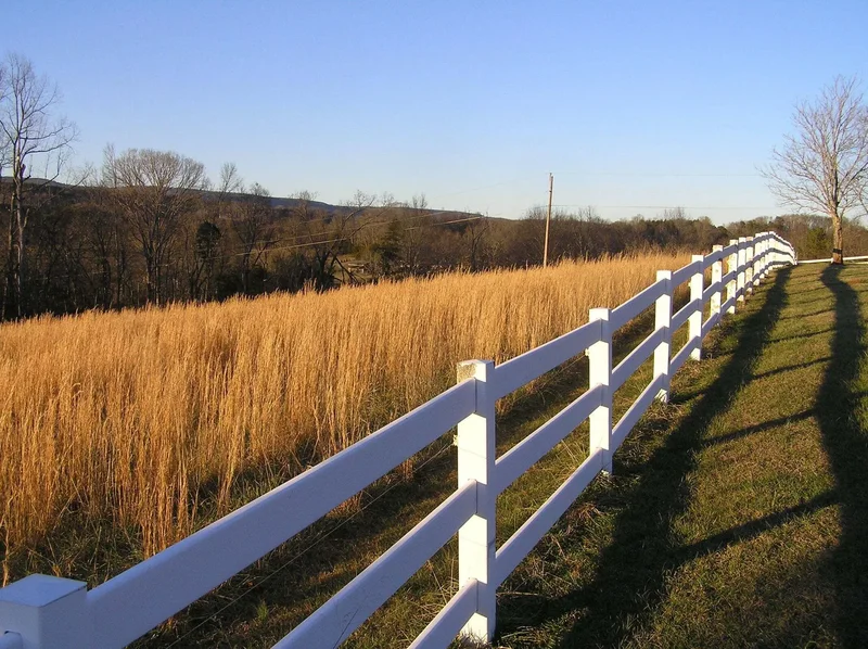 4114 Lower East Valley Rd, Dunlap, TN 37327, Dunlap, Tennessee, United States. - Photo 77