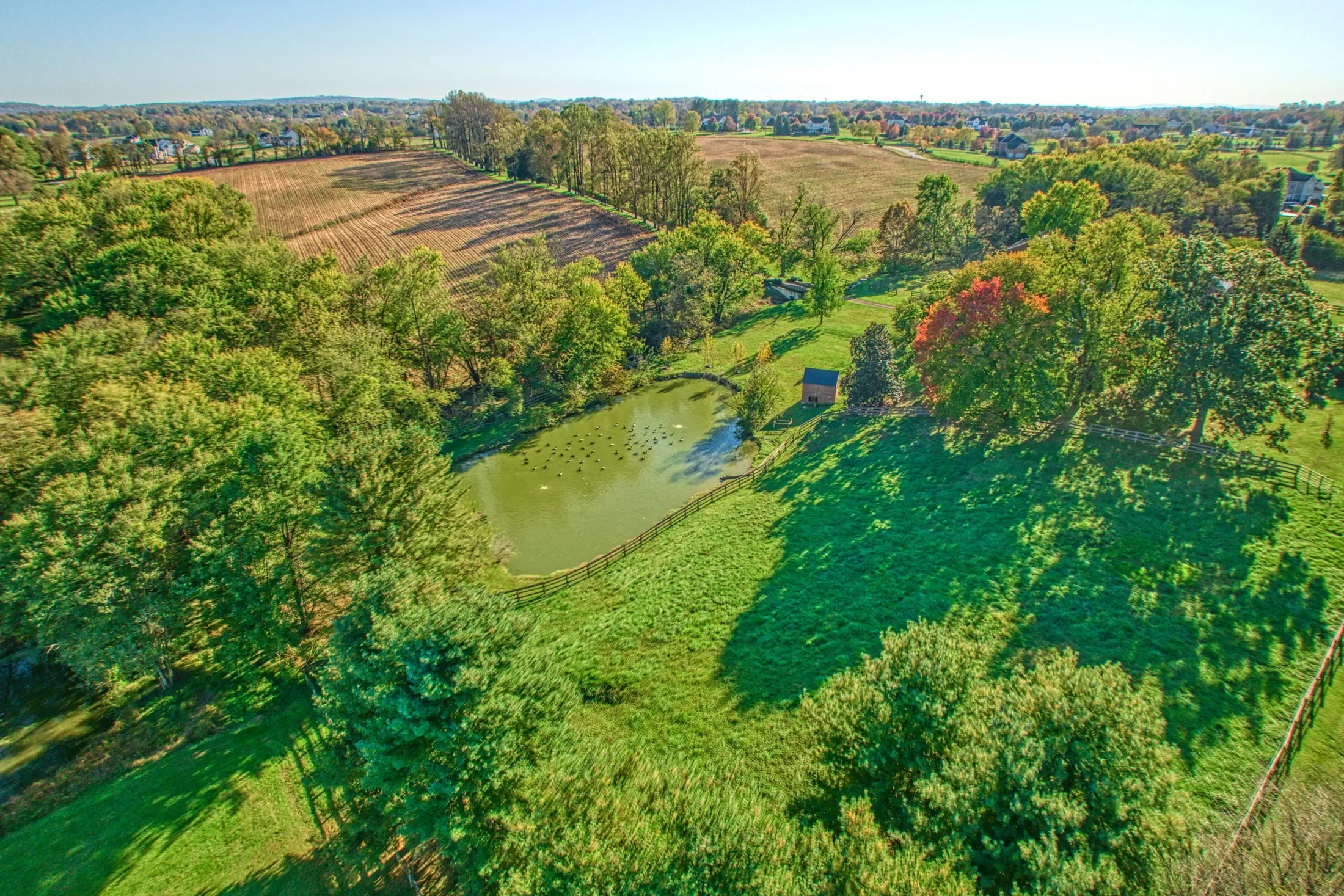 38678 Piggott Bottom Road , Hamilton, VA 20158, Hamilton, Virginia, United States. - Photo 77