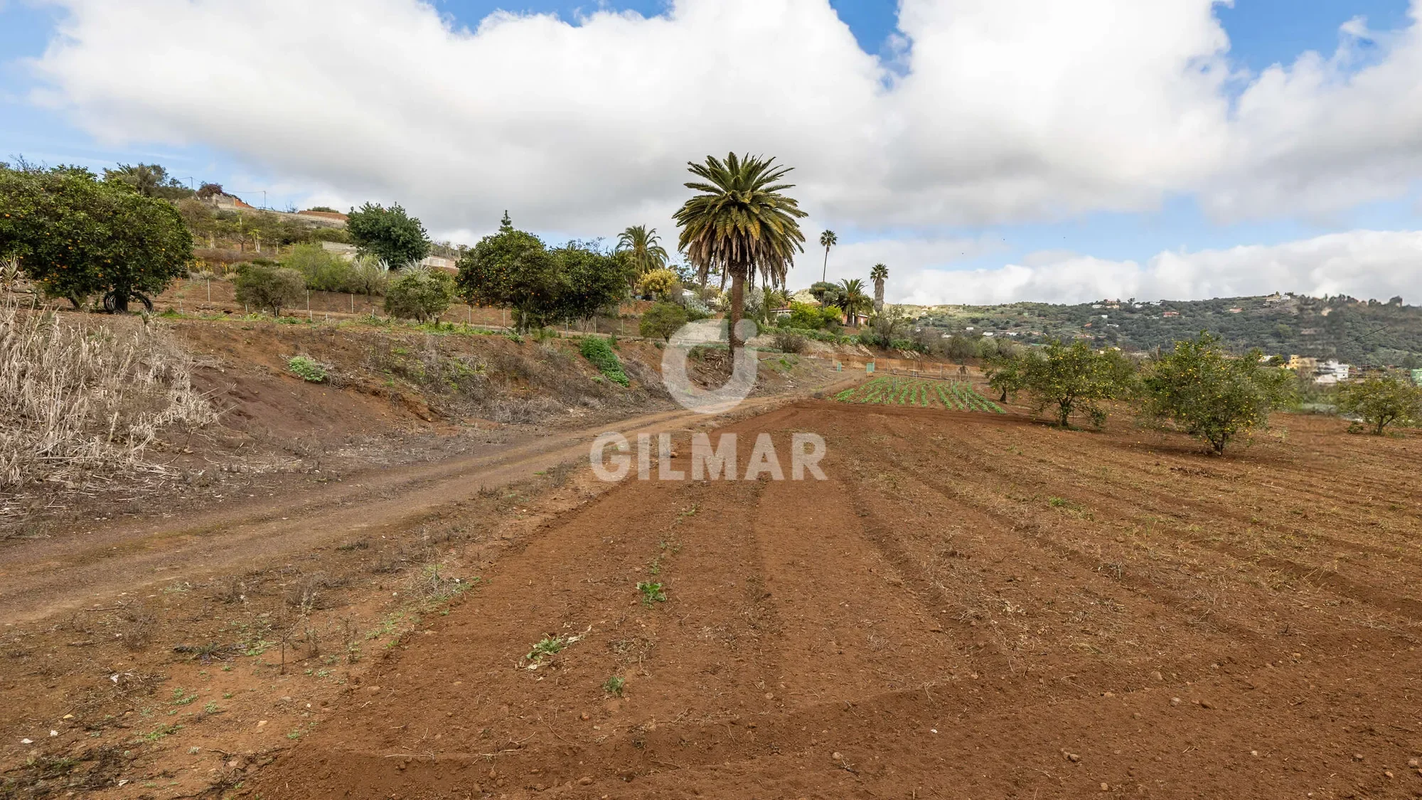 SANTA BRÍGIDA, Las Palmas, SANTA BRÍGIDA, Santa Brigida, Canary Islands, Spain. - Photo 27