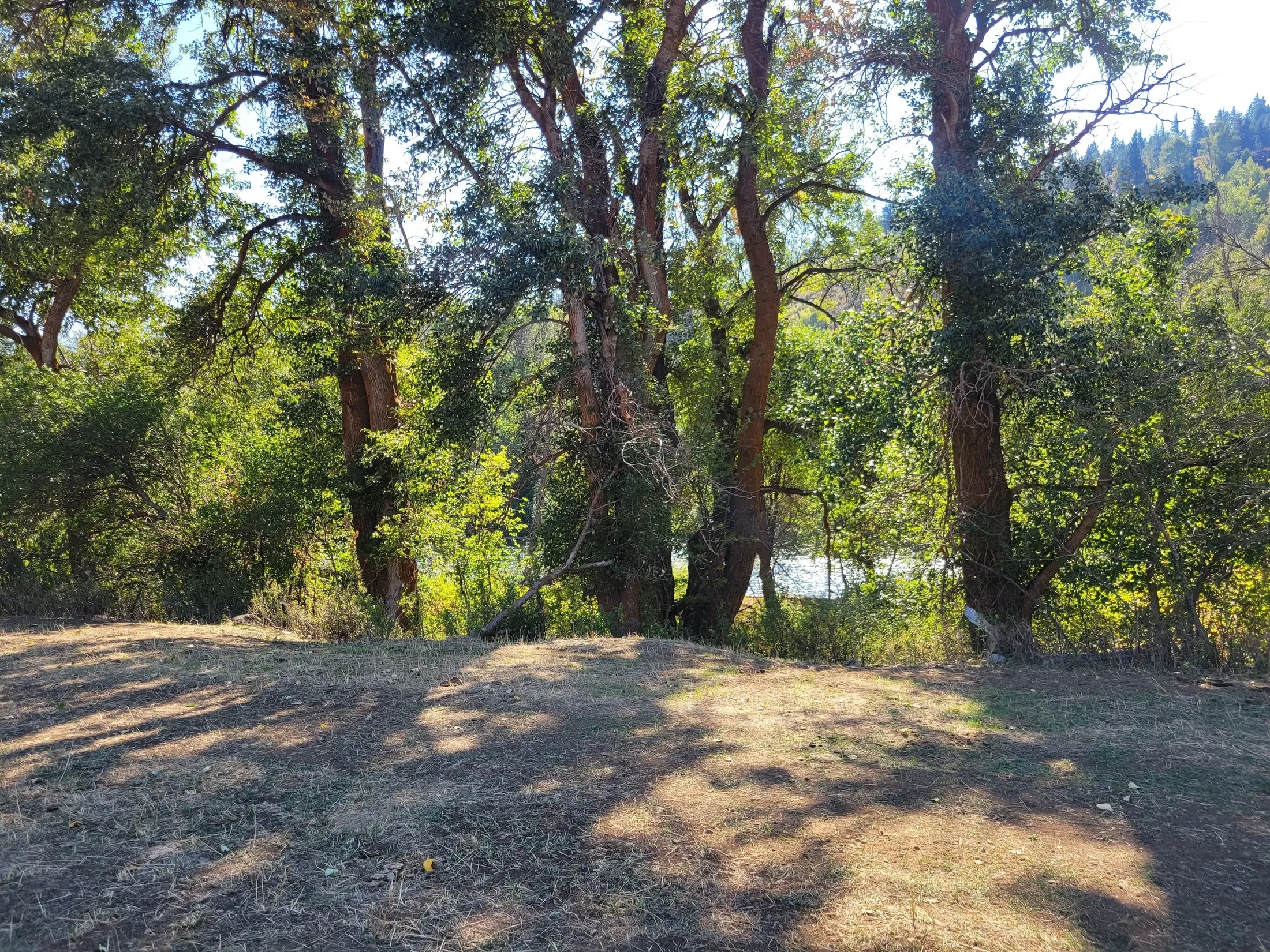 Property photo 7