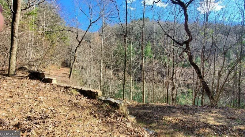 51+ ACRE Mountain Cove Way #1-8, Cherry Log, GA 30522, Cherry Log, Georgia, United States. - Photo 13