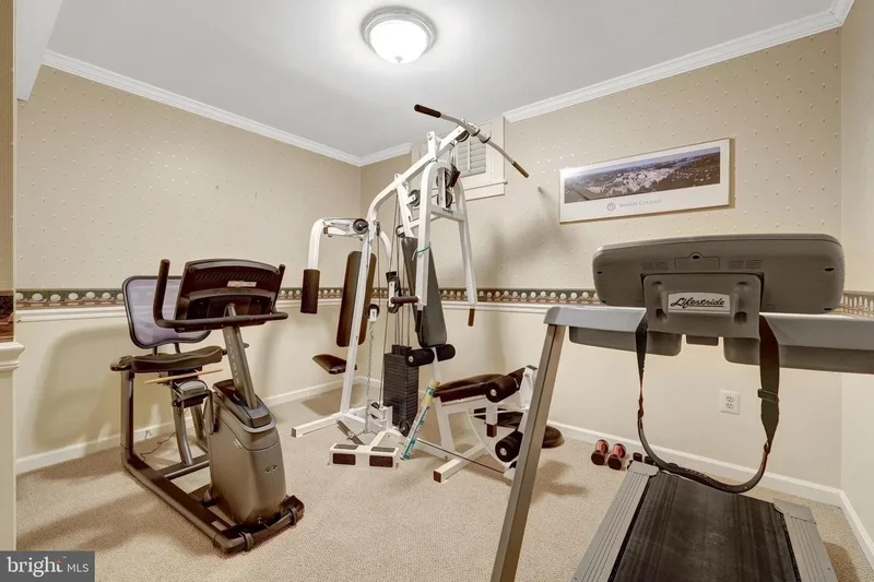 10100 WALKER LAKE DR, GREAT FALLS, VA, 22066, USA, Great Falls, Virginia, United States. - Photo 52