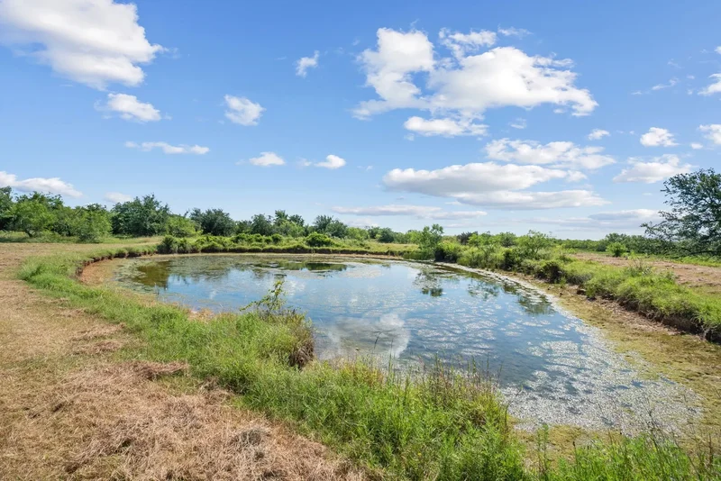 31772 W Fm 8, Dublin, TX 76446, Dublin, Texas, United States. - Photo 36