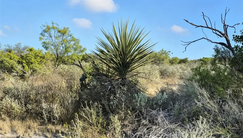 000 Ranch to Market 3008 Ranch, Brackettville, TX 78832, Brackettville, Texas, United States. - Photo 34