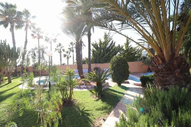 El chaparral, Torrevieja, ALICANTE, Torrevieja, Torrevieja, Valencian Community, Spain. - Photo 16