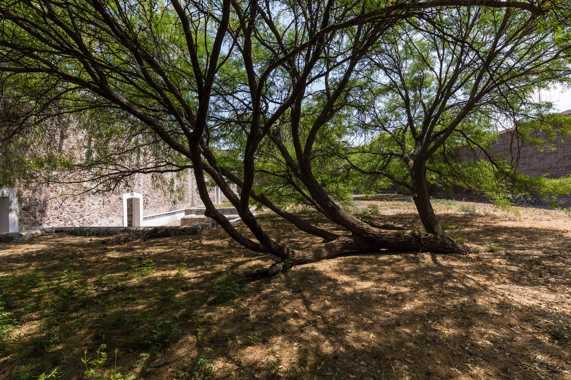 Exterior photo 5