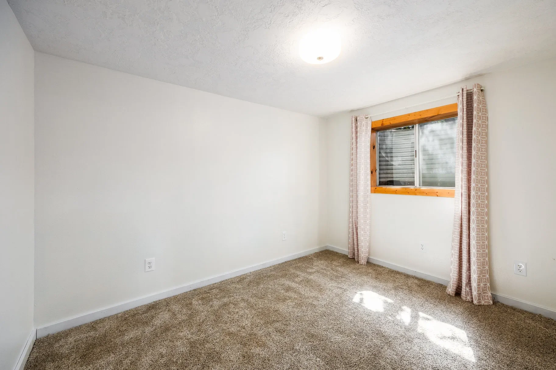 Gallery photo 12