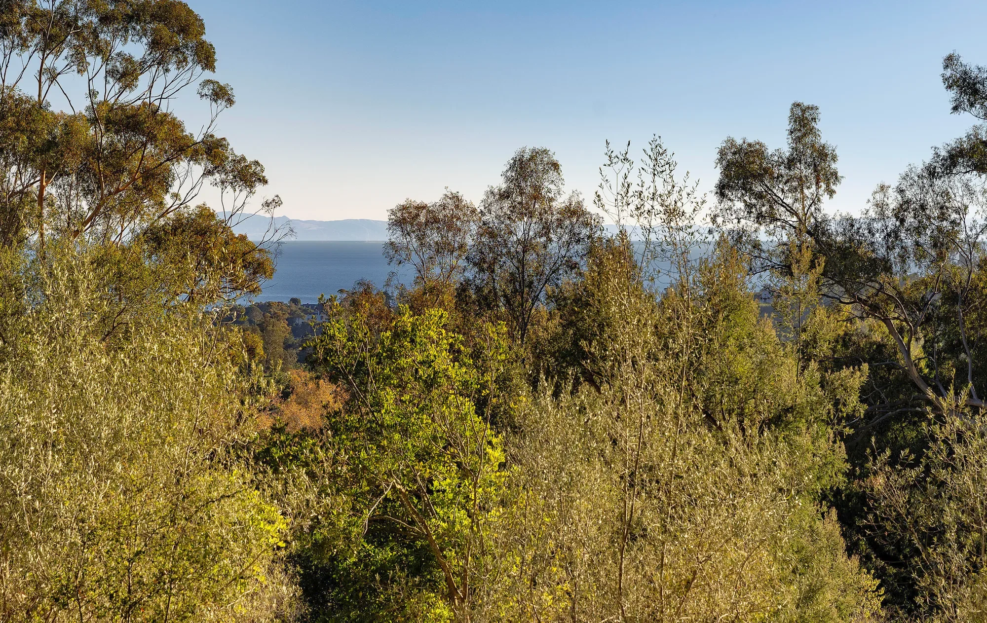 1030/1010 E Mountain Drive, Montecito, California, United States. - Photo 16