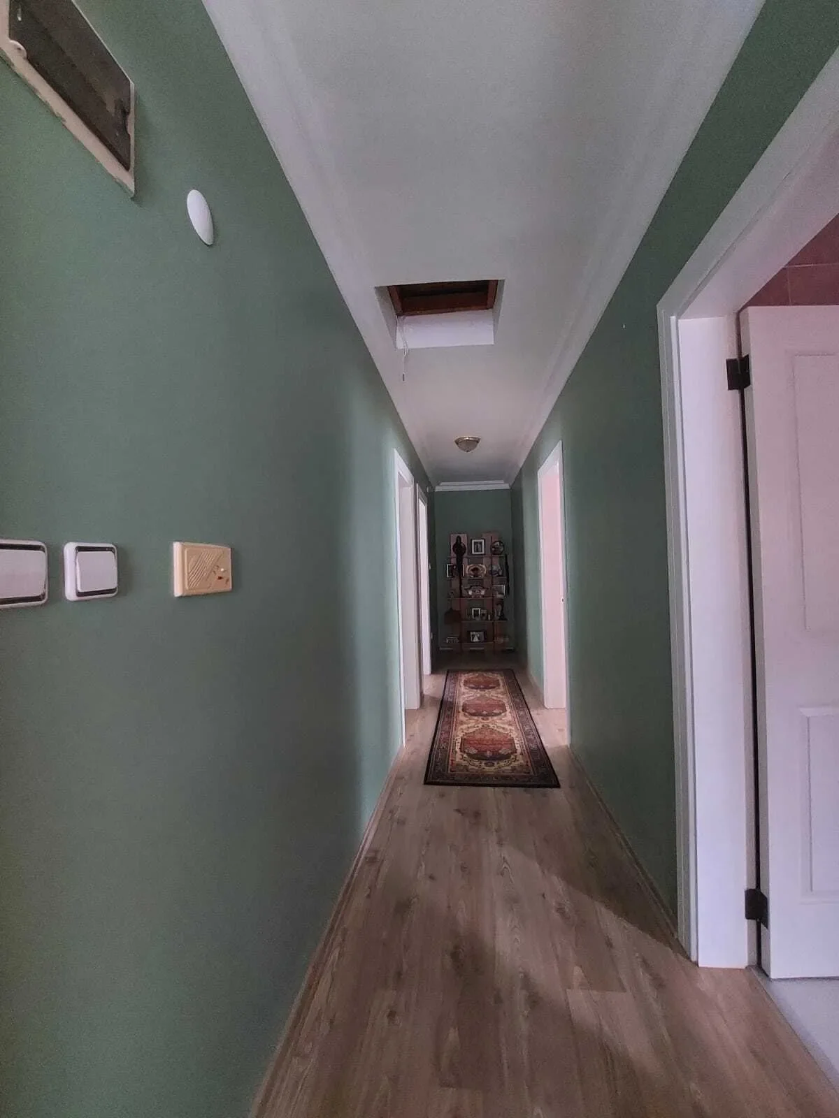 Gallery photo 11