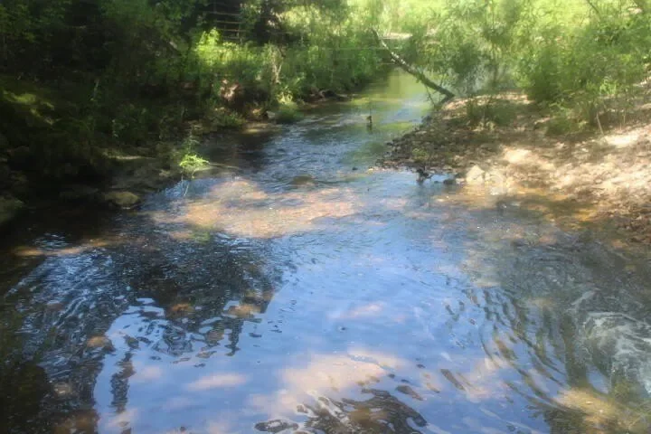 3176 S 170th Road, Polk, MO 65727, Bolivar, Missouri, United States. - Photo 2