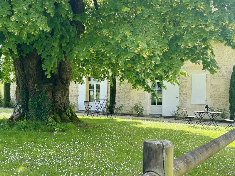 Bordeaux, Nouvelle-Aquitaine, France. - Photo 8